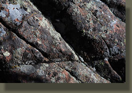 Lichen on granite