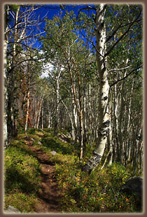 Rainbow Lake Trail, Mt Zirkel Wilderness, Colorado