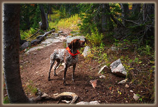 Makenzie on the Rainbow Lake Trail