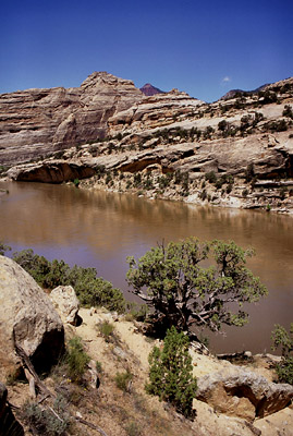 Yampa River near confluence with the Green River