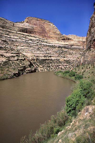 Yampa River