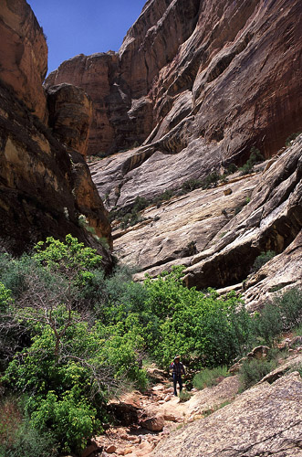Larry in Sand Canyon