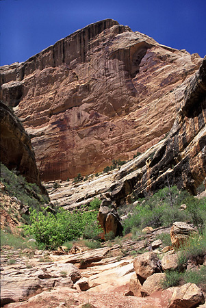 Typical Sand Canyon terrain