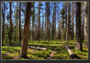 Peak 7655, Larimer County, Colorado