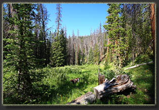 Peak 7655, Larimer County, Colorado