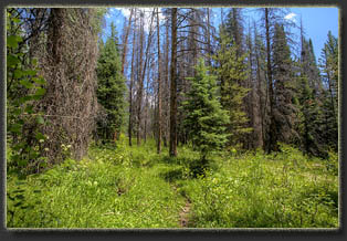 Peak 7655, Larimer County, Colorado