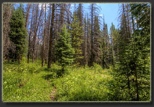 Peak 7655, Larimer County, Colorado