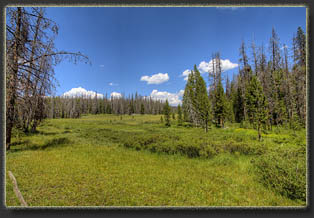 Peak 7655, Larimer County, Colorado