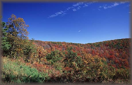 Shenandoah National Park, Virginia