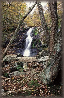 Big Run Falls
