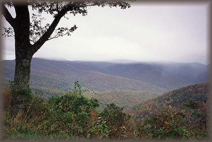 Looking west from Skyline Drive