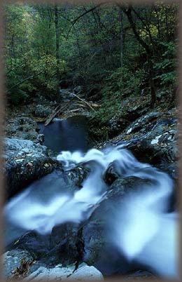 Cedar Run Falls