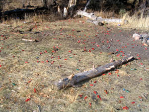 Shell casing litter the ground at Shin Gulch