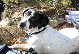 Frank, in a rare moment of rest during a hike