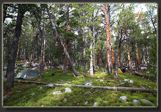 Silas Canyon, Wyoming