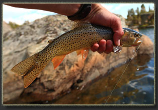 Silas Canyon, Wyoming