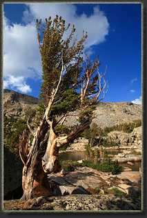 Silas Canyon, Wyoming