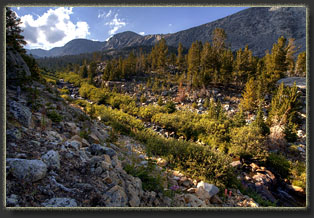 Silas Canyon, Wyoming