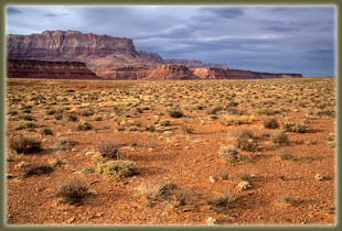 Soap Creek Canyon