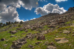 Killpecker Creek Trail / Middle & South Bald Mountains