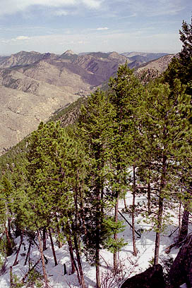 Grey Rock from above Youngs Gulch