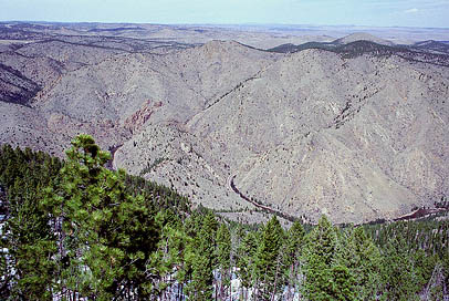 Poudre Canyon from Youngs Mt