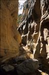 Dinosaur National Monument