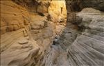 Dinosaur National Monument