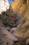 Dinosaur National Monument