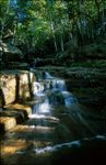 Champney Falls