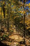 Shenandoah National Park