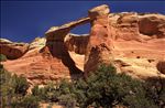 Black Ridge Canyons Wilderness