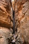 Bull Canyon Wilderness Study Area