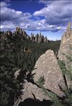 Black Hills National Forest