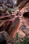 Willow-Skull Creek Wilderness Study Area