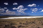 Salt Flats near Ferris Mts