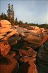 Acadia National Park