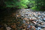 Acadia National Park