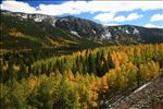 Laramie River Valley