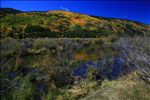 Laramie River Valley