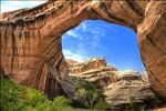 Natural Bridges National Monument