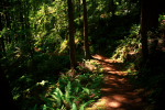 Gwynn Creek