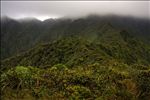 Aiea Ridge