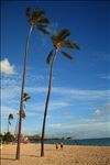 Waikiki Beach