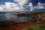 Sharks Cove