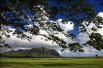 Windward Side, Oahu