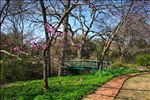 Fort Worth Trinity Park