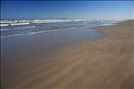 Padre Island National Seashore