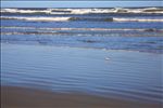 Padre Island National Seashore