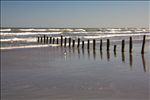 Padre Island National Seashore